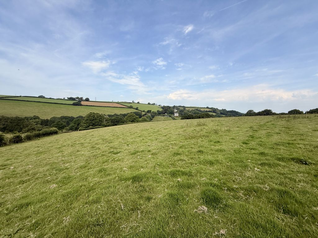  Trewidland